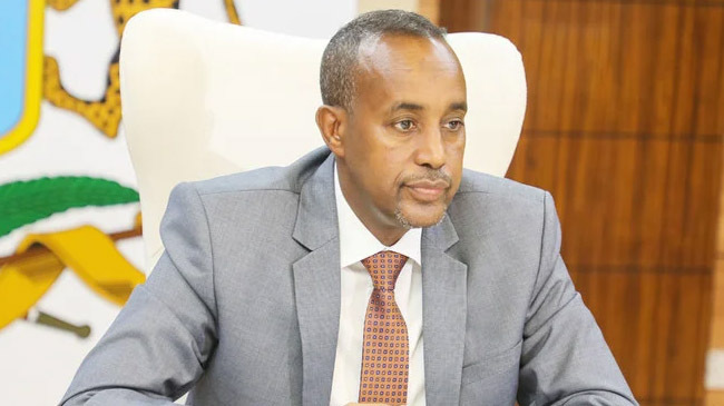 somalia pm mohamed hussein roble