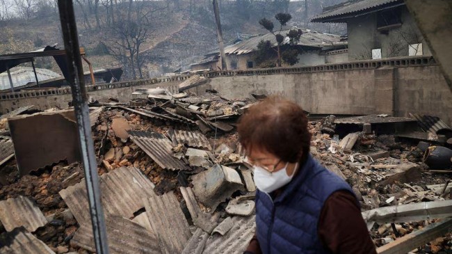 south korea wildfire