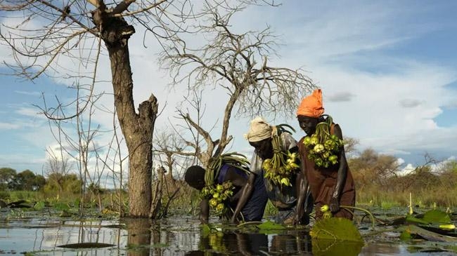 south sudan flood crisis climate change