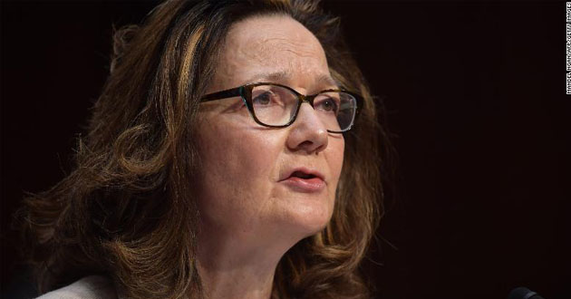 spy gina haasapel