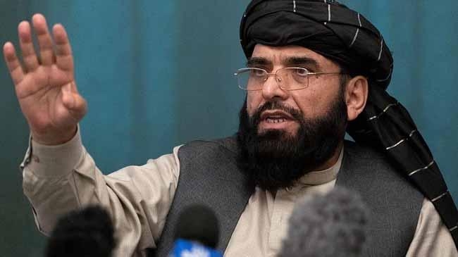 suhail shaheen afghan taliban spokesman