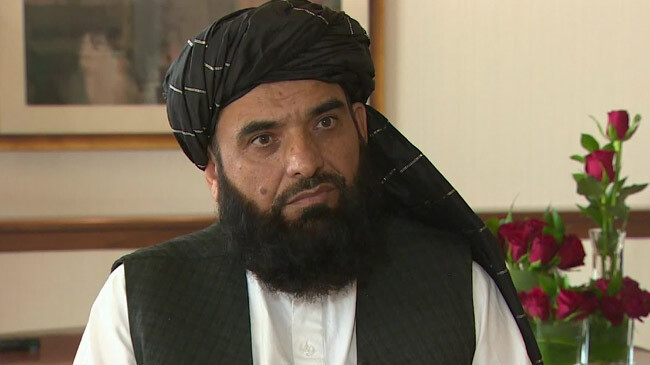 suhail shaheen taliban spokesman