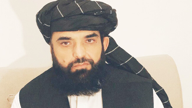 suhail shaheen taliban