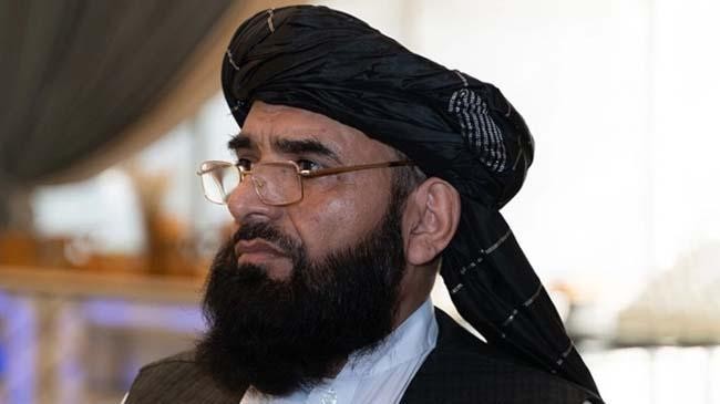 suhail shaheen 3