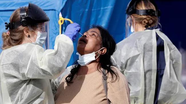 swab test in new zealand