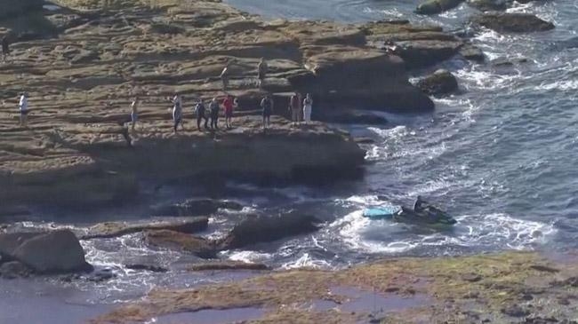sydney hunts great white shark