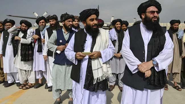 taliban govt 7