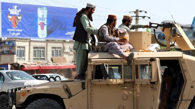 taliban in us hamvi