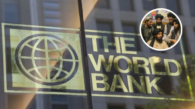 the world bank has suspended their financial assistance