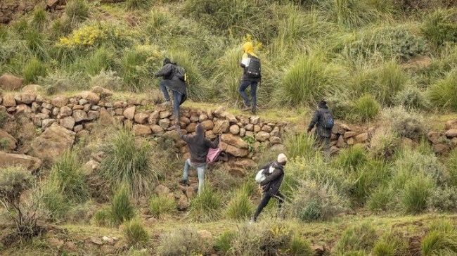 thousands of migrants storm border fence in spain s melilla