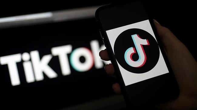 tiktok banned in india