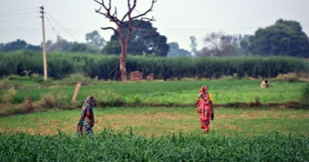 toilet in open place india