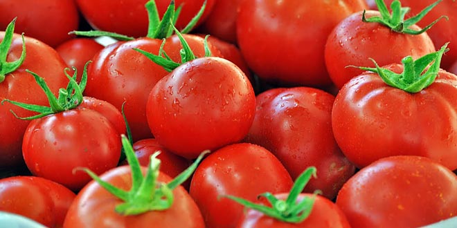 tomato in turkey