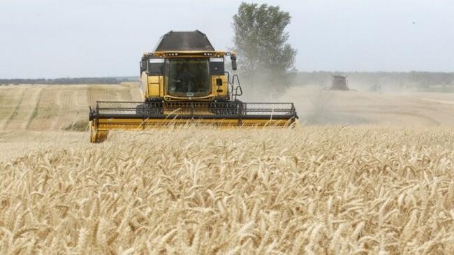 tonnes of grain in ukraine