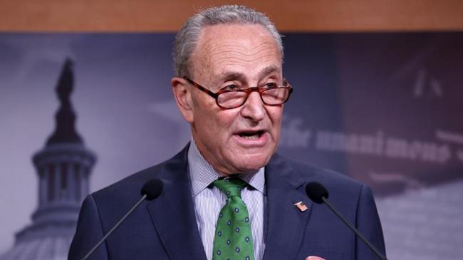 top democrats senate chuck schumer