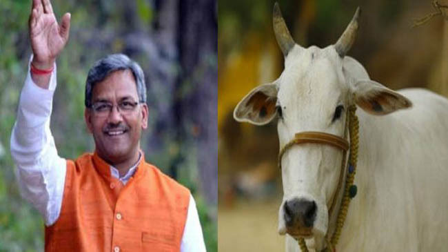 trivendra singh india