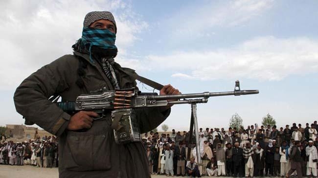 ttp member