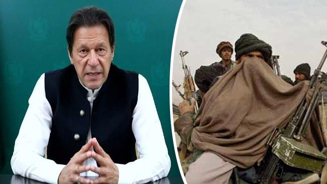 ttp pakistan