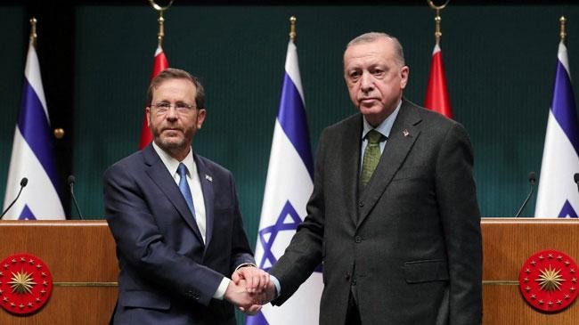 turkey appoints new envoy t