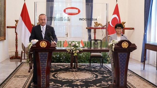 turkey indonesia fm