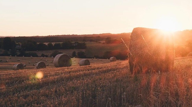 turkey plans to lease farmlands in foreign countries