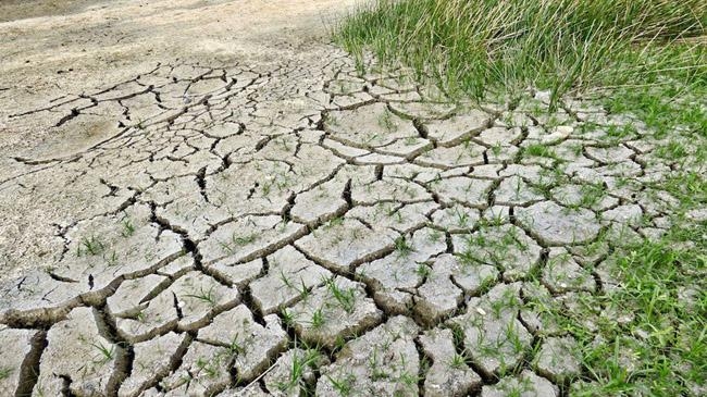 turkey precipitation lessen than prevous year