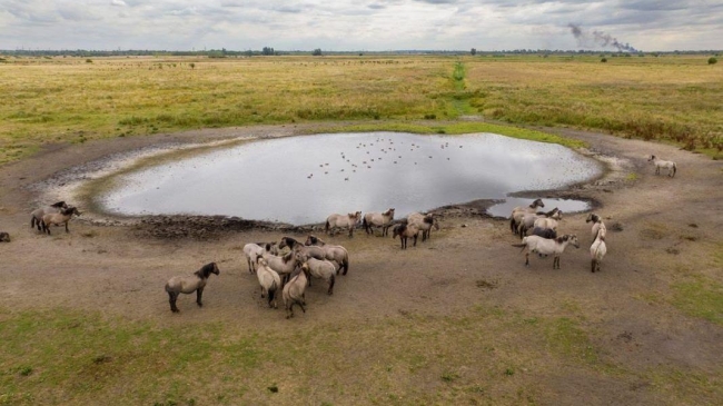 uk declares drought in parts of england