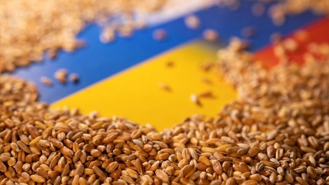 ukraine grain