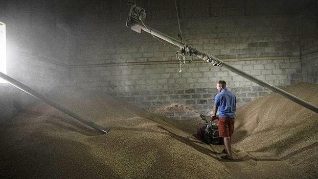 ukrainian farmers struggle to sell wheat