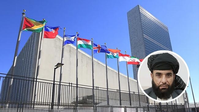 un office and suhail sahin