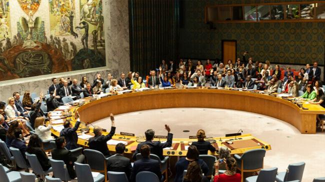 un security council meeting