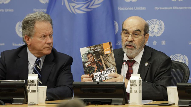 united nation