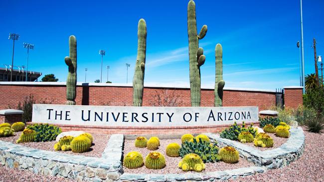 university of arzona