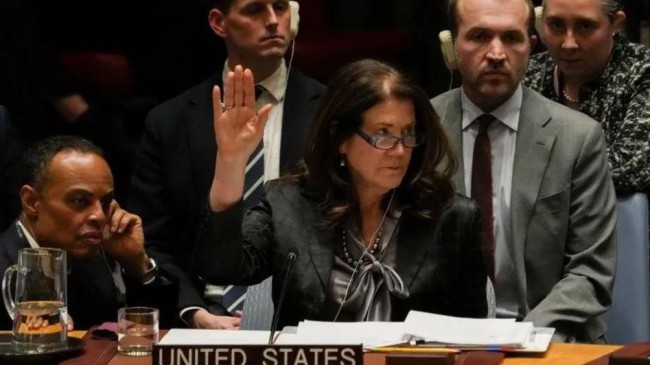 us envoy dorothy camille