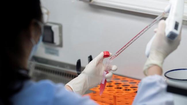 vaccine image 2