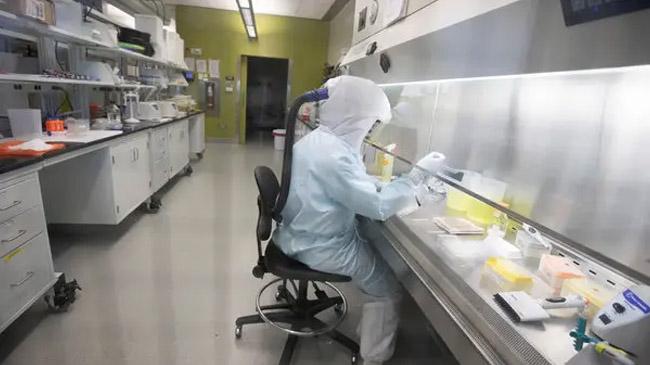 vaccine virus world scientists research