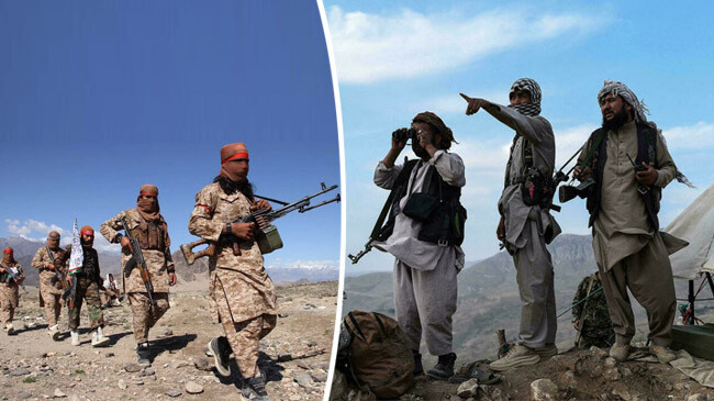 victory of taliban 2
