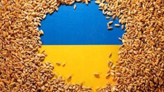 west building grain silos to help export blockaded ukraine wheat