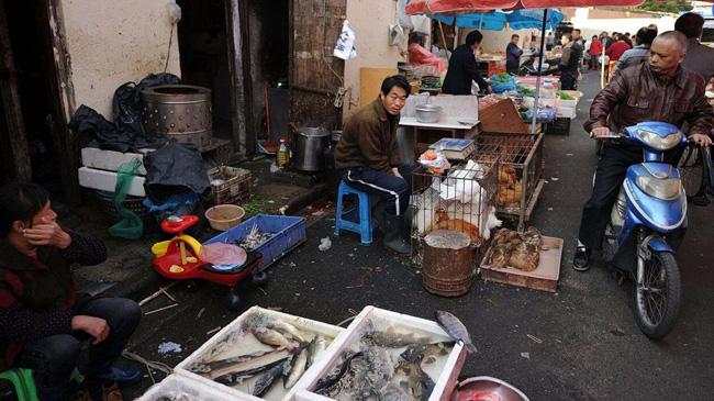 wet market in asia