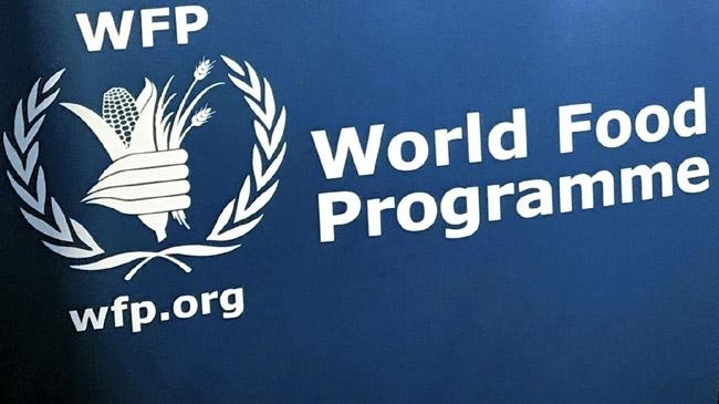 wfp logo 2