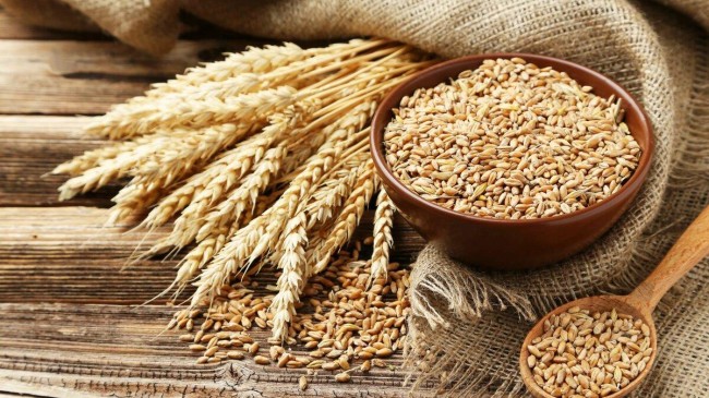 wheat grain sack twsd