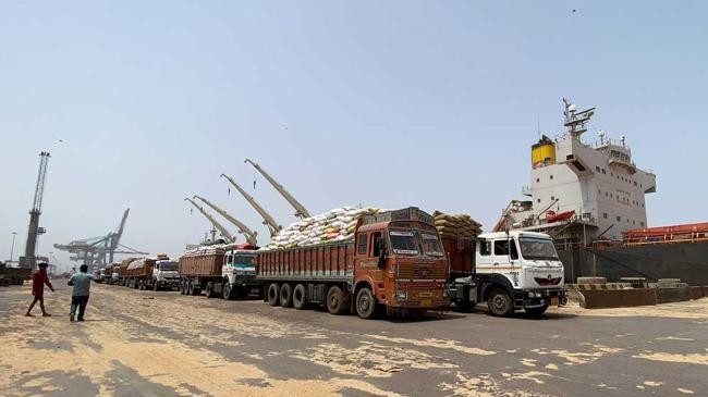 wheat raedy for export