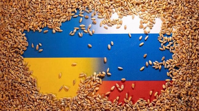wheat to lebanon