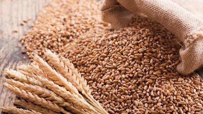 wheat 3