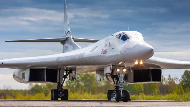 white swans of russia
