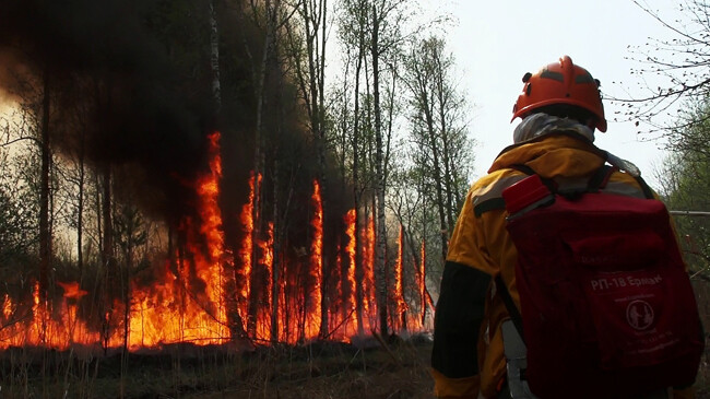 wild fire
