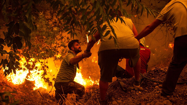 wild fire 1