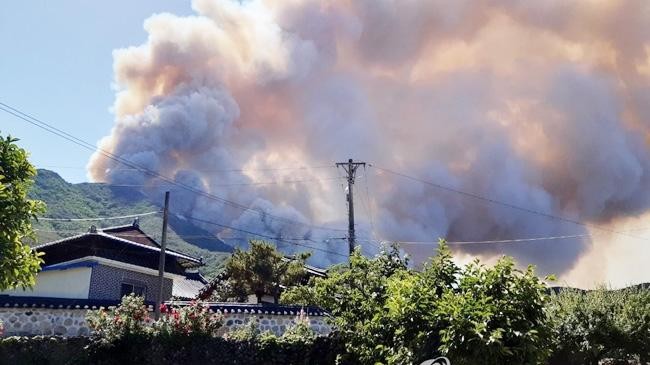 wildfire south korea