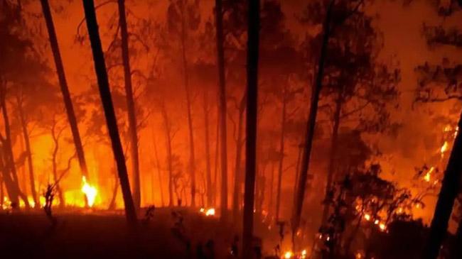 wildfire uttarakhand india