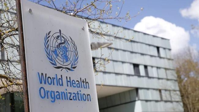world health organization office